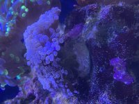 IMG_6329.jpeg