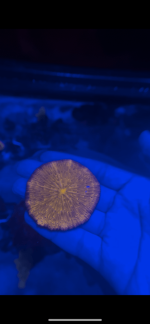 20D89A9D-9063-46F8-812C-0D73727BB675.png