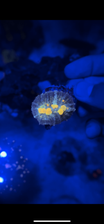 738DC48D-5D5F-412D-BBA1-572D38DCE102.png