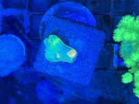 IMG_6057.jpeg