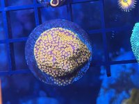 IMG_6052.jpeg