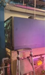 Back of DT.jpg