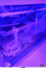 sump 2.jpg