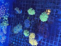 IMG_6042.jpeg