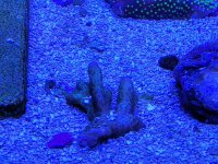 20230910_170047.jpg
