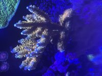 IMG_4119.jpeg
