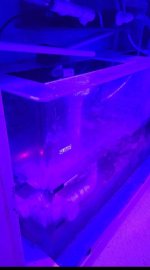 sump 1.jpg