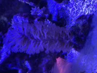 30E07521-FEB1-4AA8-8EF8-92571B725407.jpeg