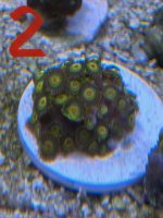 IMG_4685.jpeg