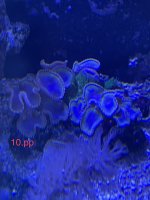 76EB7FE5-F7B1-4E93-8F7F-8902D5AC0041.jpeg