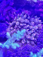 79049FB6-C1DA-4D53-86FD-D924163335CC.jpeg