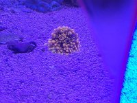 20230918_192125.jpg