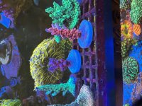 71691013146__A8796C63-1F47-409D-84C5-35C3B114D90A.jpeg