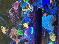 71690988578__997B4FFD-B828-4F04-A206-2C18CB411910.jpeg