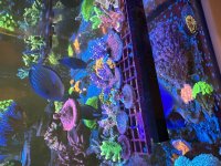 71690987626__22E0CFDA-E598-4223-80DE-6331707AD9CE.jpeg