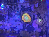 IMG_6087.jpeg