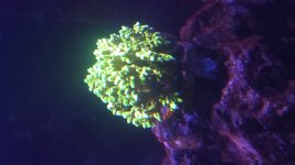 20230908_183448.jpg