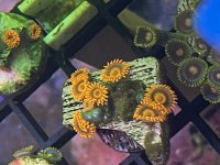 IMG_6180.jpeg