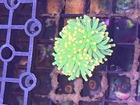 IMG_6187.jpeg