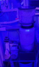 Protein Skimmer 5.jpg