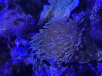 IMG_1823.jpeg
