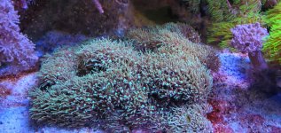 aquarium07.jpg