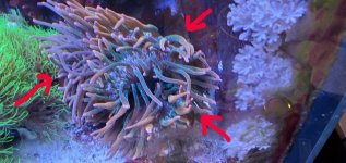 aquarium08.jpg