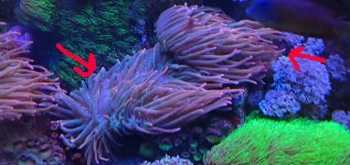 aquarium10jpg.jpg