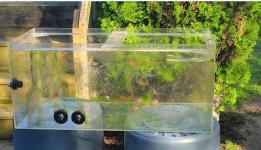 Acrylic sump 40 gal 2.jpg