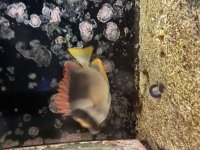 IMG_6419.jpeg