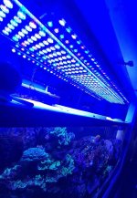 Orphek Lighting 2.jpg