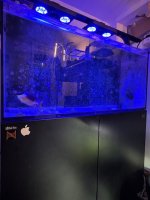 IMG_6431.jpeg