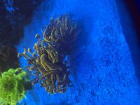 IMG_1218.jpeg