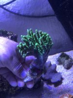 IMG_5558.jpg
