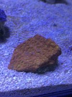 IMG_5553.jpg