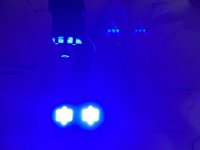 IMG_7005.jpeg