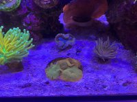 IMG_5363.jpeg