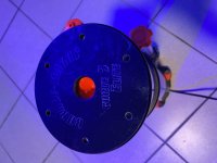 IMG_7025.jpeg