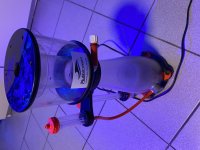 IMG_7026.jpeg