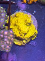 IMG_6506.jpeg