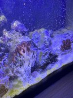 10g 2.jpg