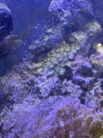 10g 1.jpg