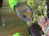 IMG_3516.jpeg