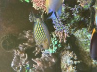 IMG_3513.jpeg