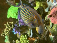 IMG_3510.jpeg