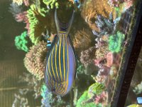 IMG_3512.jpeg