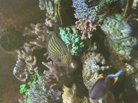 IMG_3514.jpeg