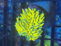 IMG_6615.jpeg