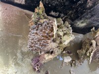 IMG_1936.jpeg