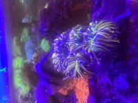 IMG_8443.jpeg